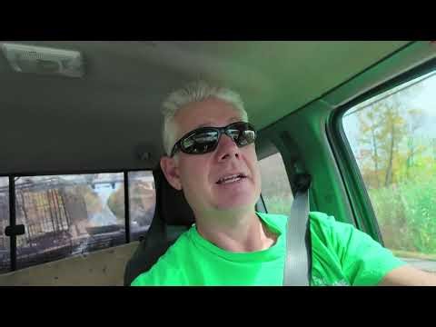 Bat Removal Season Closed in Ohio