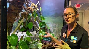 Here at Zoo Miami, we like to keep our animals' homes in tip-top shape. That's why Emily and the Florida Team have been busy sprucing up some of our animal habitats while the Zoo has had some down time. Thanks for the update, Emily! | Zoo Miami