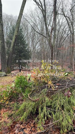 Our daily necessities are slow mornings, movement, fresh air, and lots of learning and play time! Stay cozy friends, the weather is supposed to get much more gloomy this next week but I kind of love it 🫶🏻 #gloomyweather #ditl #daily #homebody #winterweather