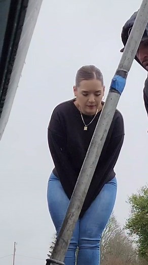 Understanding the Differences Between a Drive Line and Tranny in Car Repairs