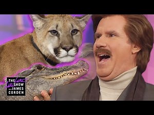 Ron Burgundy Meets a Cougar, Alligator & Skunk