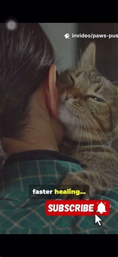 Can cat’s purr really can heal you?