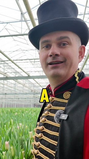 1.5K views · 30 reactions | Sometimes new varieties aren’t carefully bred but come from nature being creative itself  | Flower Circus | Facebook