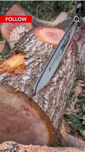 How to make boards with a chainsaw #automobile #asmrvideo #woodworking
