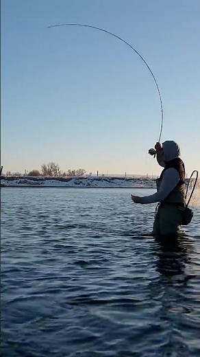 How to Properly Set the Hook — Fly Fishing Tips