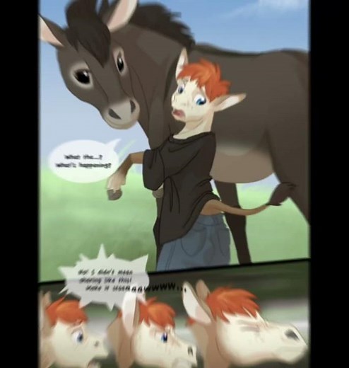 Donkey Transformation