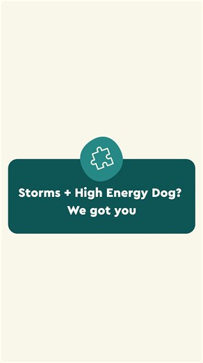 Storm season hits different when you’ve got a high-energy dog staring at you like, “Okay… what now?” 🌧️⚡ When you can’t get outside (or the thunder has your dog on edge), enrichment gives them something productive to do — using their natural instincts, not just random toys. Want to know exactly which type of enrichment your dog needs to stay calm and busy? 👉 Take the CleverTails Enrichment Quiz and get a personalised toy match. Busy brain = calmer dog. Storm season sorted. | CleverTails