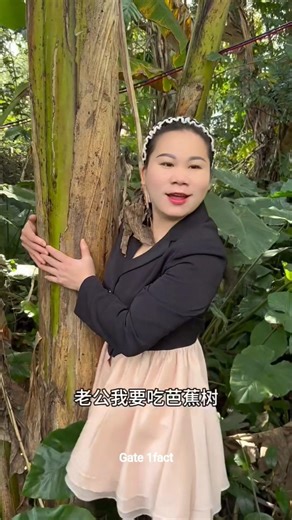 चंपा ने खाया केले का पौधा 😂 ~ #funny #comedy #bananafruit #bananatrees