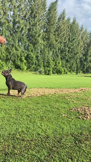 13K views · 114 reactions | I don’t know you help me or make me messy | Nurf | Facebook