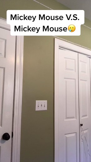 Mickey Mouse Crackhouse Explained: Inside the Tal On Universe