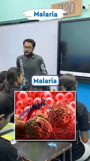 No Revision → ❌ No Retention → ⚠️ No Results → 😢 Only Regret This reel revises Malaria (Class 12 - Human Health & Disease) in the fastest, most effective way: ✅ 100% NCERT-based 🚫 Zero extra junk 🔥 Maximum output in minimum time I’m Ankit Goyal Trusted by lakhs of NEET aspirants 💯 These reels turn average students ➡️ toppers 🏆 Don’t wait for exams ⏳ Revise NOW 🔥 That’s how ordinary becomes extraordinary 🚀 #ankitsir #sarvsresthainstitute #raipur #chhattisgarh #neet2026 #neetug #neetbiology