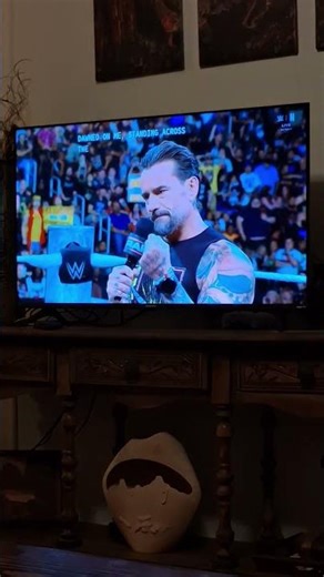 just some day night raw with cm punk