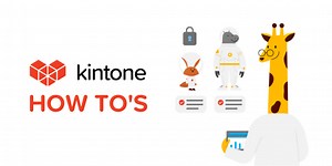 How to Turn a Record Number into a Hyperlink using an App Code