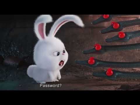 The Secret Life of Pets - Snowball Rabbit - Don't ask the leader for the password