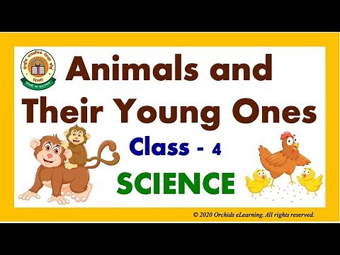 Animals and Their Young Ones| Class - 4 | SCIENCE - CBSE / NCERT | Reproduction in Animals & Birds
