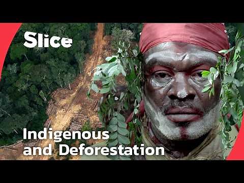 The Punu People and Their Fight to Protect Gabon’s Sacred Forests | SLICE | FULL DOCUMENTARY