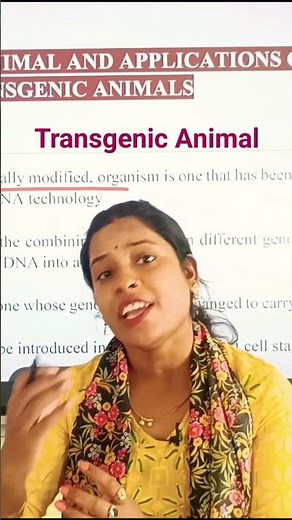 Transgenic animal