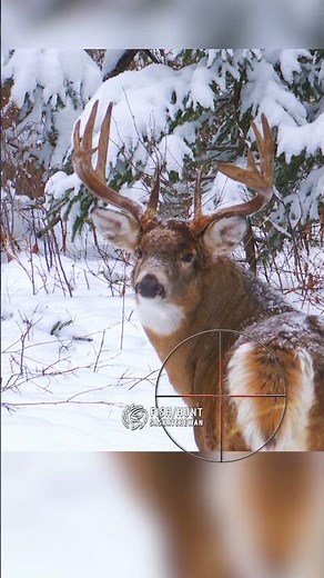 How to Hunt a Deer in Saskatchewan | Hunting Tips #HuntSask #hunting #deerhunting