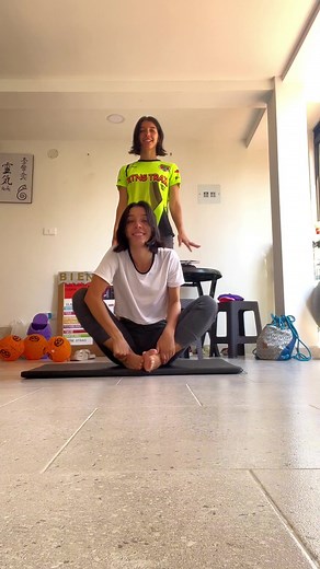 attempt 2, friskytwins