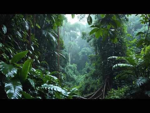 99% Instantly Deep Sleep With Best Rain Sounds – Rainforest Ambience for Insomnia Relief