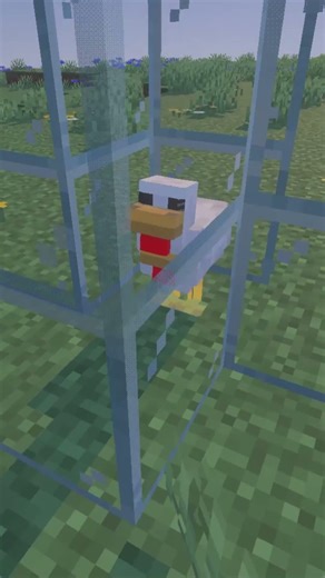 Avengers chicken 🐔 #minecraft #minecraftshorts #bedrock #java #gaming #minecraftmemes