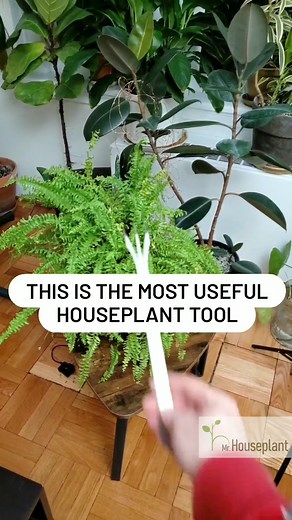 138K views · 1.1K reactions | Repotting rake: the most useful houseplant tool.  The link for the tool is in the comment section. Let me know if you have any questions. | Mr. Houseplant | Facebook
