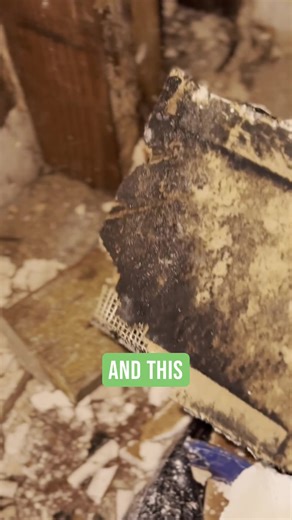 🚨 Hidden Dangers Behind Your Walls: Uncovering Mold from a Shower Leak 🚨 In this eye-opening video, we reveal how a concealed shower leak led to the growth of hazardous molds, specifically Stachybotrys and Chaetomium, within an interior wall. These molds, often referred to as "black mold," can pose serious health risks, including respiratory issues and allergic reactions. ​ Key Highlights: Identification of Mold: Learn how to spot signs of mold infestation resulting from hidden water damage.​ 