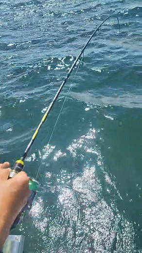 1.3K views | Fish premier league. Fish 1 -- 0 Angler | Grupango Fishing Network | Facebook