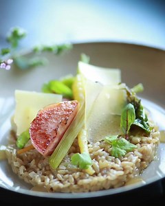 Looking for the best fine dining restaurants in Old Québec? Here is a selection of unique, and mostly chef-owned establishments you should add to your bucket list. 🍽🥂👌 | Québec cité