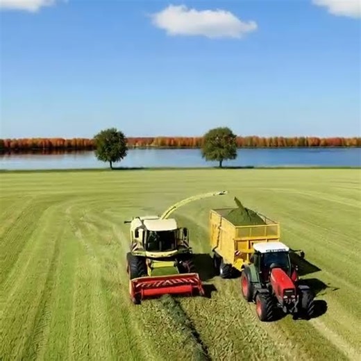Dry Hay + Perfect Weather - Hay Harvesting at the Lake Farm🌾🚜✨ #Farmlife #Hayharvesting