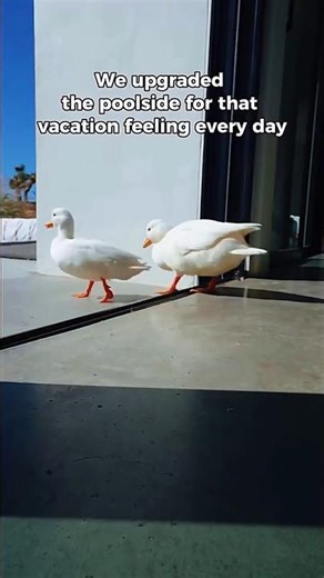 This Turns Your Pool Into an Endless River 🌊