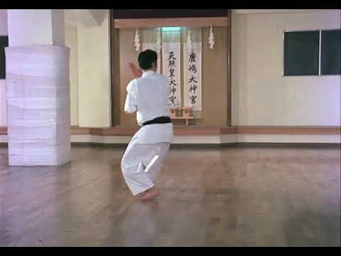 Karaté Do Shotokai : Heian Nidan (2ème Kata de la série)