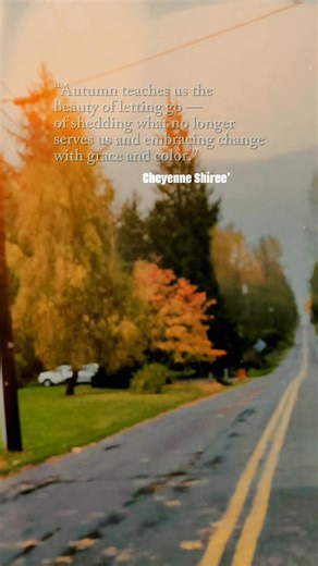 #seasons #change #fall #moments #Washington | Cheyenne Shiree Lippert