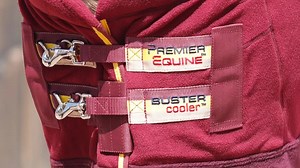 Pony Buster Fleece Cooler Continental £54 https://www.premierequine.co.uk/pony-buster-fleece-cooler-continental-c2x29420471 A stylish and practical fleece cooler rug constructed from a 280g anti-pill polar fleece. Available in burgundy or navy. | Premier Equine International Ltd