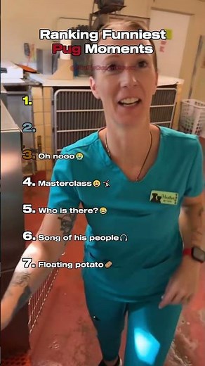 Top 7 Funniest Pug Moments!😂🐾