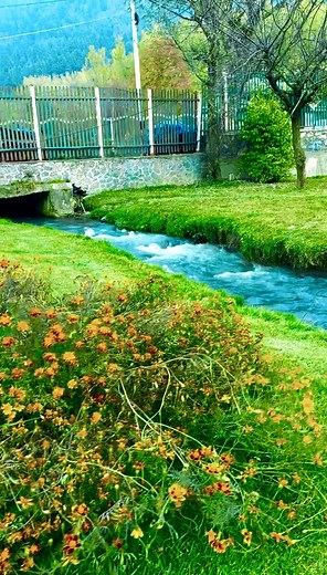 Beautiful view of #Lidderpark #pahalgam #Anantnag | Pogal Paristan Explorer