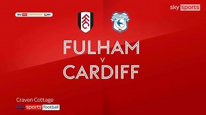Fulham 2-0 Cardiff City: Tom Cairney and Aleksandar Mitrovic steer Cottagers to victory