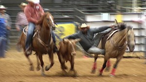 4.2K views · 61 reactions | Joanna Huckabee and Jeff Lee take us through the Highlights of Week 7 at Dodge City's Mesquite Championship Rodeo! | Mesquite Championship Rodeo | Facebook