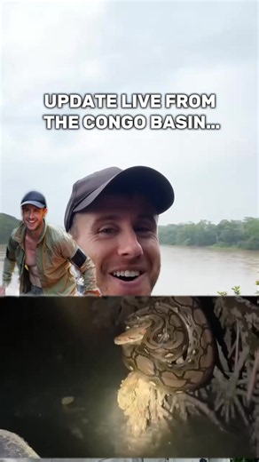 Ash Dykes' Congo Basin Expedition: What's Going On?