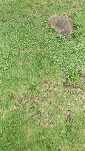 BAN TA SAN on TikTok