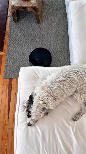 Use Roomba® to effortlessly vacuum, mop or combo clean leaving your home at its best. | iRobot