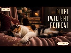 LIVE 24 HOURS Anti-Anxiety Cat TV | Calming Music to Keep Your Kitty Calm & Happy