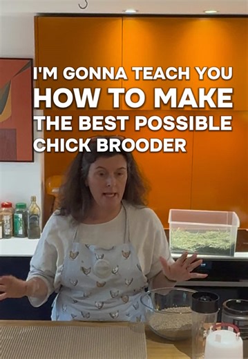 Best Chick Brooder Setup for Healthy Chicks