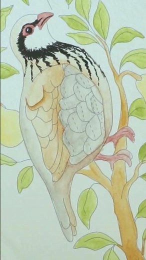 Easy Floating Technique for Soft Shading