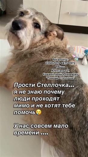 Для помощи жмите на этот текст