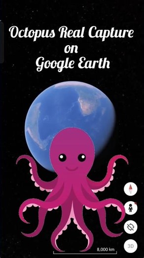 Octopus Capture On Google Earth Map #shortvideo #shorts #earth #googleearth