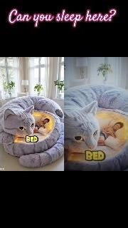 You can sleep on only one bed 😅 Which one is Yours? #shorts #duet #bed