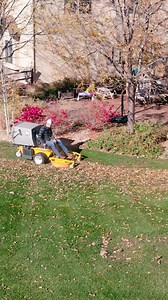 1.8K views · 45 reactions | Let’s explore the popular ways the Walker...