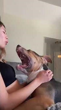 Sweet dog cuddles with new owner one day after being adopted!