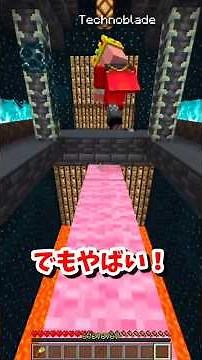 TechnoBlade vs. Verity... [Minecraft] #Minecraft #shorts #tick #anige #Verity